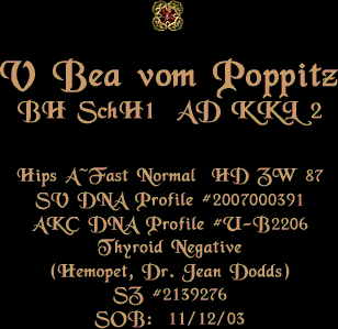 Bea vom Poppitz