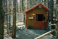 kennel