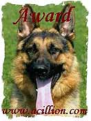 Kennel Acillion