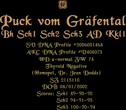 V Puck vom Grafental