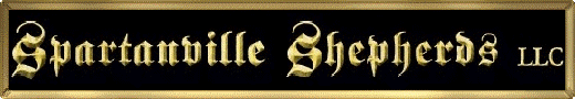 Spartanville Banner