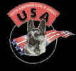 usa.jpg (11828 bytes)